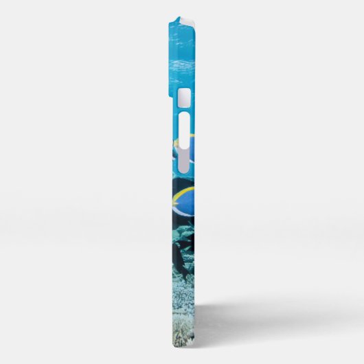 Tropische Strände | Sturgeon iPhone Hülle (Linke Seite)