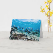 Tropische Strände | Sturgeon Karte (Gelbe Blume)