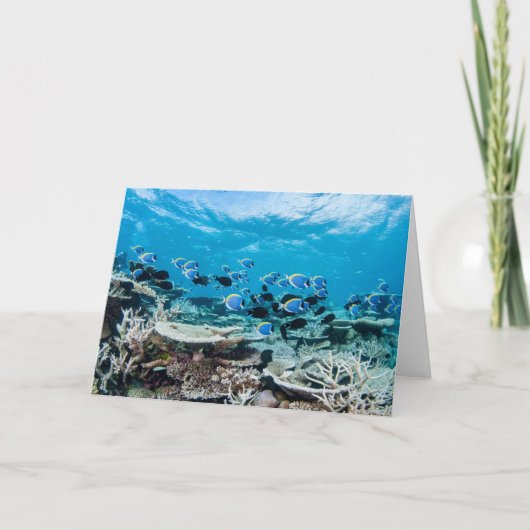 Tropische Strände | Sturgeon Karte (Vorderseite)