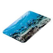 Tropische Strände | Sturgeon Magnet (Linke Seite)