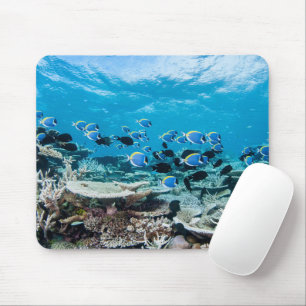 Tropische Strände Sturgeon Mousepad