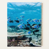 Tropische Strände | Sturgeon Planer (Rückseite)