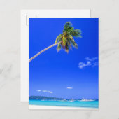 Tropische Strände | White Beach, Phillipse Postkarte (Vorne/Hinten)