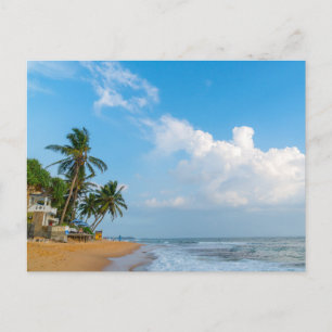 Tropische Strandküste und Palmen Ozeanblick Postkarte