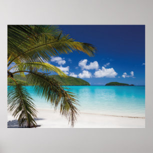 tropische Strandlandschaft Poster