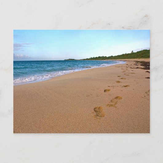 tropische Strandlandschaft Postkarte (Vorderseite)