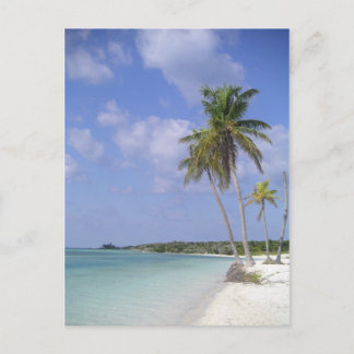 tropische Strandpostkarte Postkarte