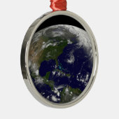 Tropische Stürme auf der Erde. Ornament Aus Metall (Rechts)
