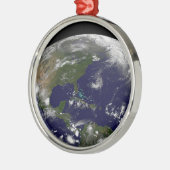 Tropische Stürme auf der Erde. Ornament Aus Metall (Links)