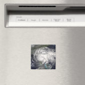 Tropische Sturmfalle 4 Magnet (In Situ (Geschirrspüler))