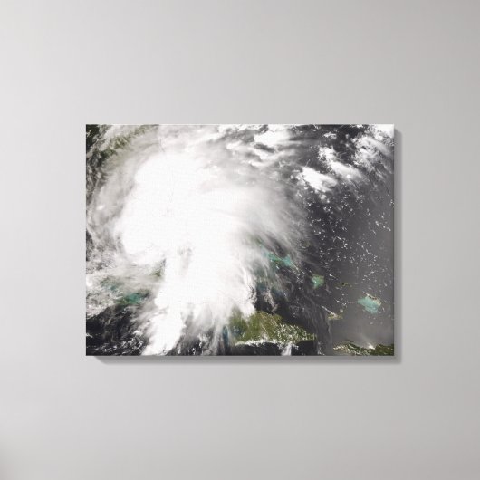 Tropische Sturmfalle 5 Leinwanddruck (Vorderseite)