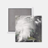 Tropische Sturmfalle 5 Magnet (Vorderseite/Rückseite)