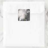 Tropische Sturmfalle 5 Quadratischer Aufkleber (Tasche)