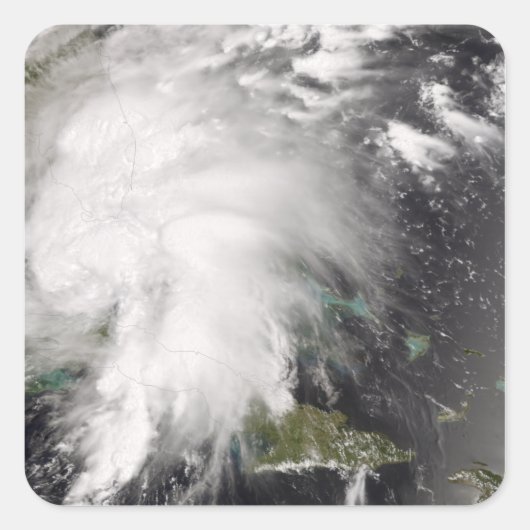 Tropische Sturmfalle 5 Quadratischer Aufkleber (Vorderseite)