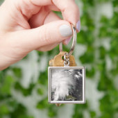Tropische Sturmfalle 5 Schlüsselanhänger (Hand)