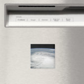 Tropische Sturmfalle 6 Magnet (In Situ (Geschirrspüler))