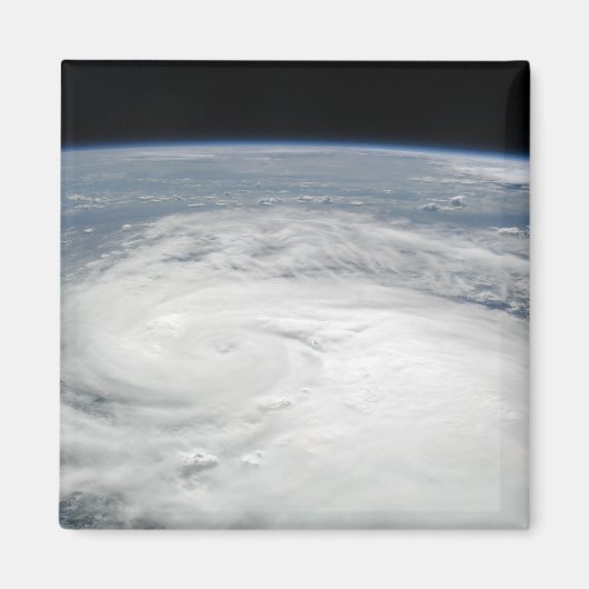 Tropische Sturmfalle 6 Magnet (Vorne)