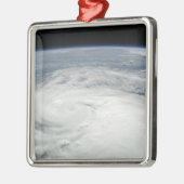 Tropische Sturmfalle 6 Silbernes Ornament (Links)