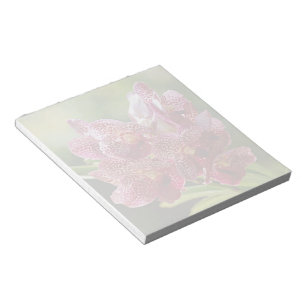 Tropische Vanda-Orchideen-Gruppe Notizblock