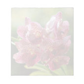 Tropische Vanda-Orchideen-Gruppe Notizblock (Vorderseite)
