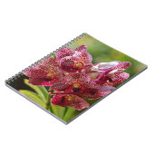 Tropische Vanda-Orchideen-Gruppe Notizblock (Linke Seite)