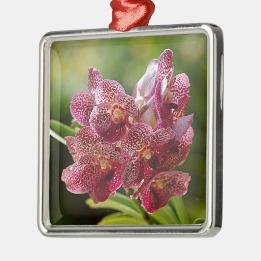 Tropische Vanda-Orchideen-Gruppe Ornament Aus Metall (Links)