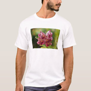 Tropische Vanda-Orchideen-Gruppe T-Shirt