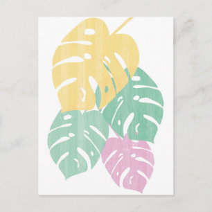 Tropische Vegetation - Monstera Blätter Postkarte