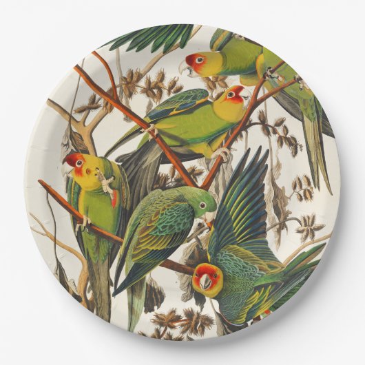 Tropische Vogel einzigartige Pappteller (Vorderseite)