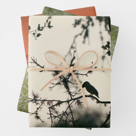 Tropische Vögel Geschenkpapier Set (Beispiel)