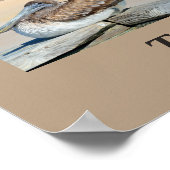 Tropische Vögel in Florida Poster (Ecke)