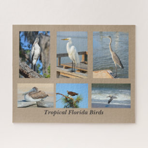 Tropische Vögel in Florida Puzzle