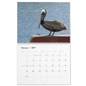 Tropische Vögel Kalender (Feb 2027)