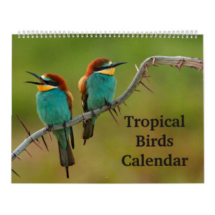 Tropische Vögel Kalender