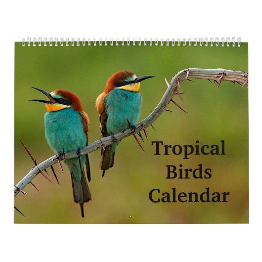 Tropische Vögel Kalender (Titelbild)