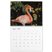 Tropische Vögel Kalender (Mär 2027)
