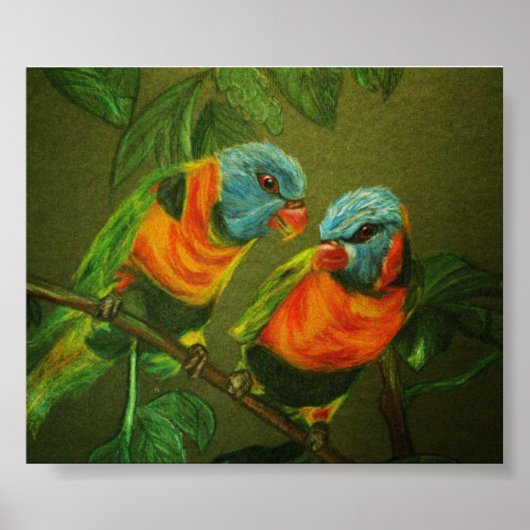 Tropische Vögel Poster (Vorne)