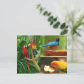Tropische Vögel Postkarte (Stehend Vorderseite)