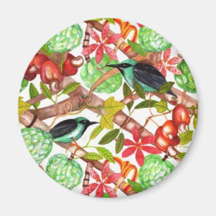 Tropische Vögel und Frucht-Magnet Magnet