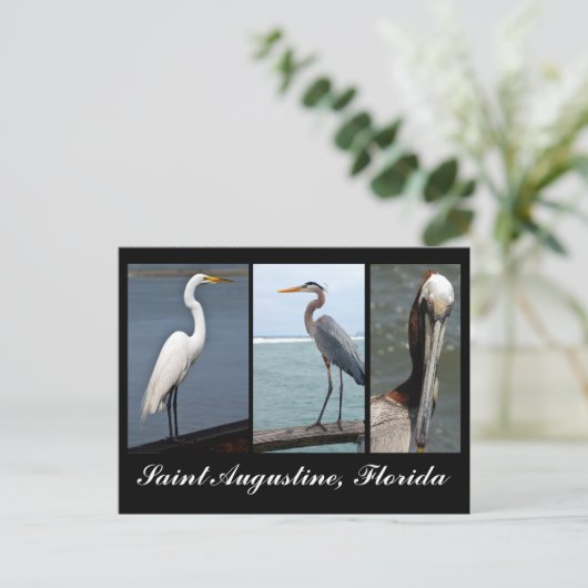 Tropische Vögel Urlaub Postkarte (Stehend Vorderseite)