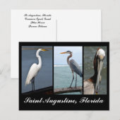 Tropische Vögel Urlaub Postkarte (Vorne/Hinten)