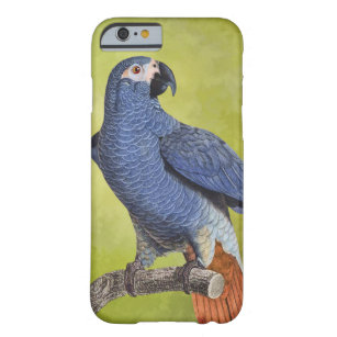 Tropische Vogel-Vintage Papageien-Illustration Barely There iPhone 6 Hülle