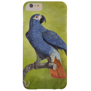 Tropische Vogel-Vintage Papageien-Illustration Barely There iPhone 6 Plus Hülle
