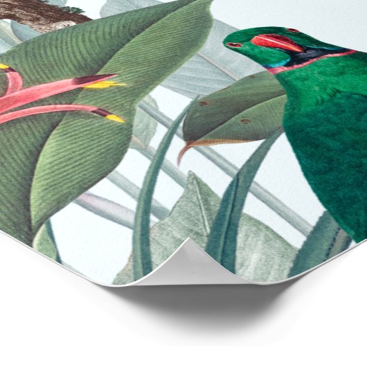 Tropische Vogelgewächse Poster (Ecke)