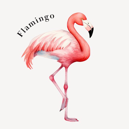 Tropische Vogelpädagogik Poster