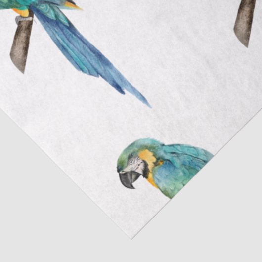 Tropische Vogelserie: Blue Macaw Design 2 Seidenpapier (Ausschnitt)