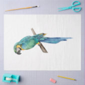 Tropische Vogelserie: Blue Macaw Seidenpapier (Basteln)