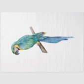 Tropische Vogelserie: Blue Macaw Seidenpapier (Vorderseite)