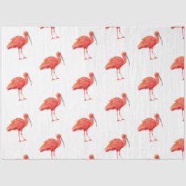 Tropische Vogelserie: Scarlet Ibis Design 2 Seidenpapier