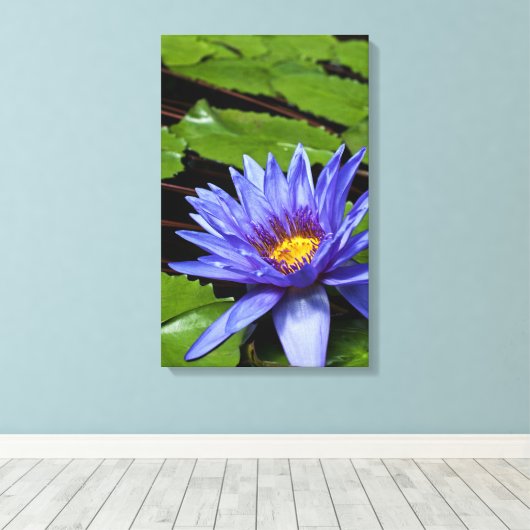 Tropische Wasserlilie Leinwanddruck (Insitu (Holzboden))